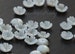 Carved MOP Flower Beads,Exquisite White Shell Flower Blossom,White 5 Petal Bead Caps, 6 mm 8 mm 10 mm White Mother of Pearl  Bowl Flowers 