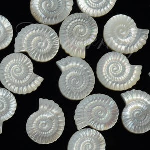 May include: A collection of iridescent white shell-shaped beads, resembling ammonites, against a black background. The beads have a spiral design and a pearlescent sheen, perfect for jewelry making or craft projects.