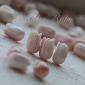 Conch Tulips,Natural Pink Tulip Buds,7x11 mm Blooming Pink Tulip Buds, 2 Pieces or More