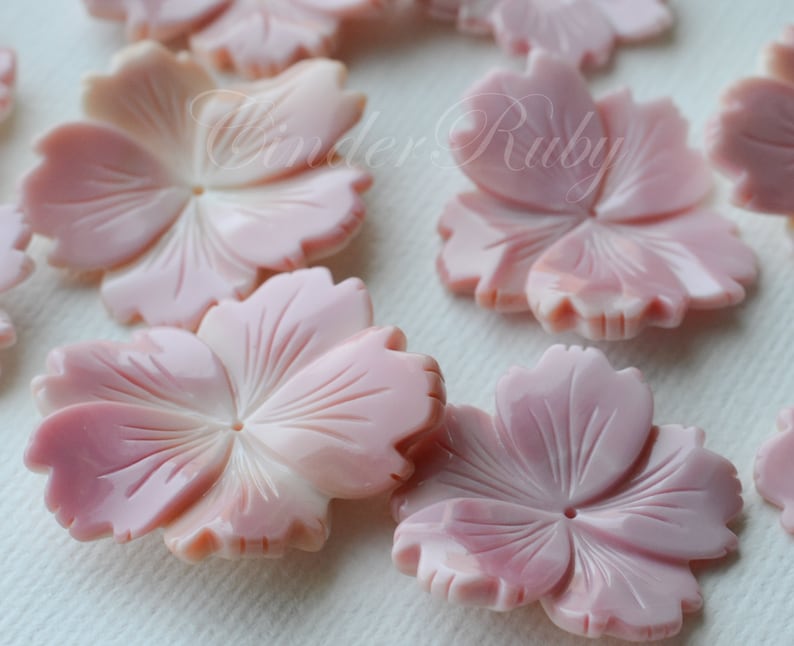 30-45 Mm Large Pink Shell Flowerspink Conch 5 Petal Freedom - Etsy