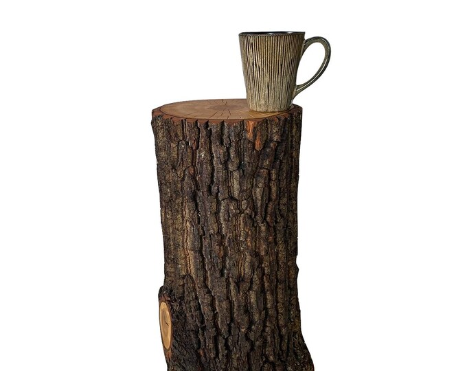 Tree Bark Side Table - Rustic Round End Table - Stump Wood Side Table ...