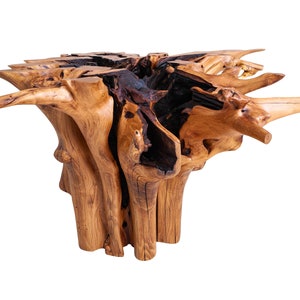 Breanna&#39;s Tree Stump Dining Table - Burly Black Locust