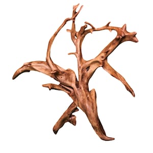 Wall Decor Oak Tree Stump