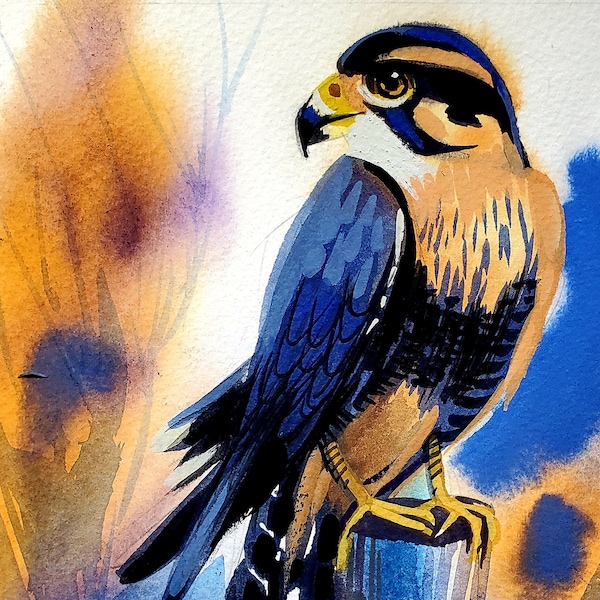 Aplomado Falcon is part of my 2022 A Year of Birds Challenge.  One-of-a-kind. I will donate 20% of the price to wildlife conservation