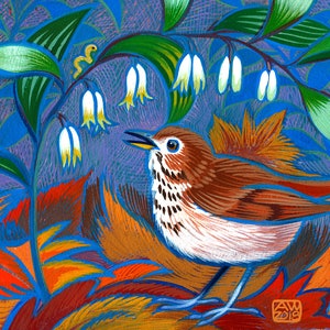 Solomon&#39;s Seal and Hermit Thrush-two iconic forest dwellers meet in the spring woods.