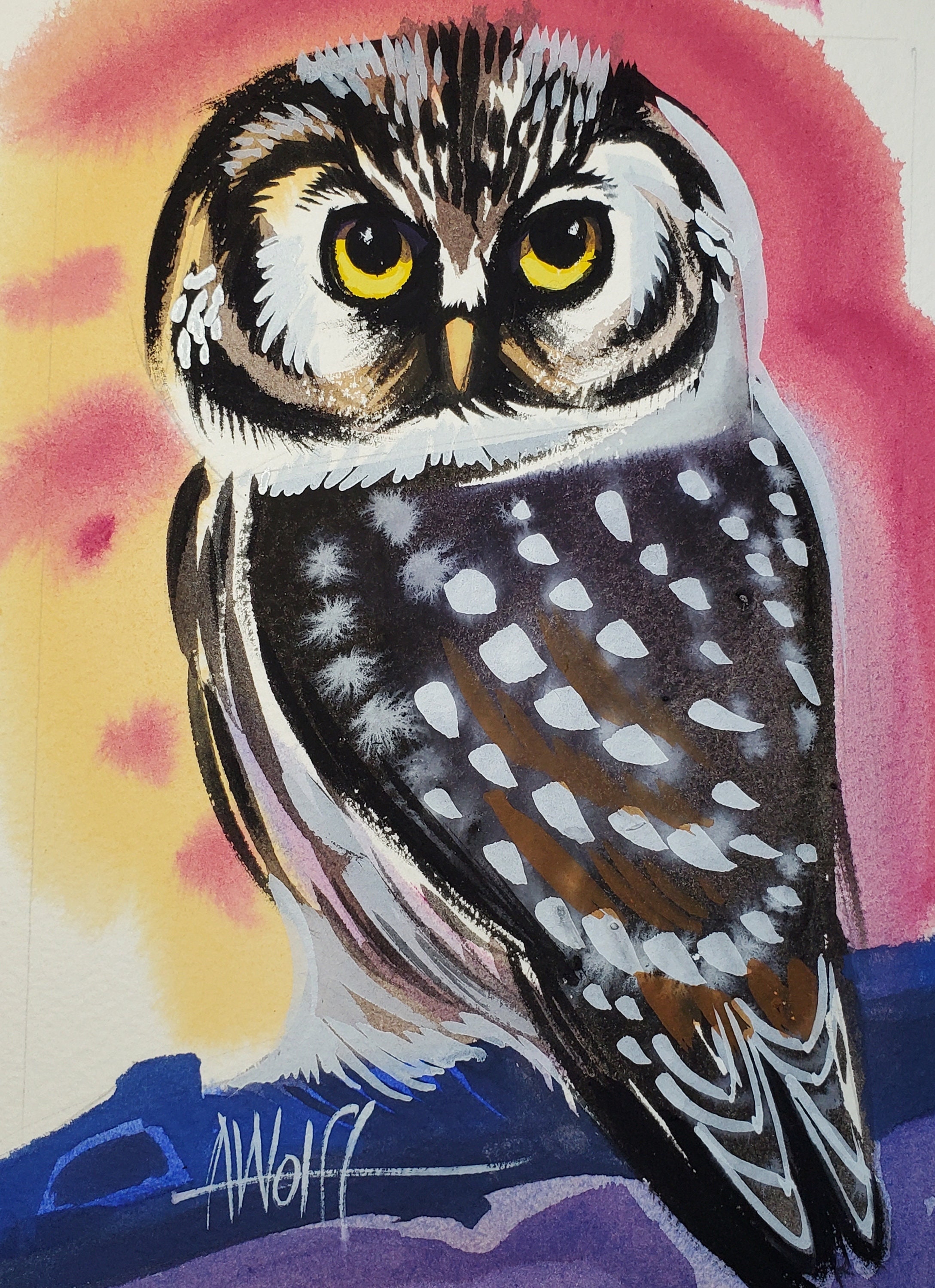 Boreal Owl is part of my 2022 A Year of Birds Challenge.  One-of-a-kind. I will donate 20% of the pr