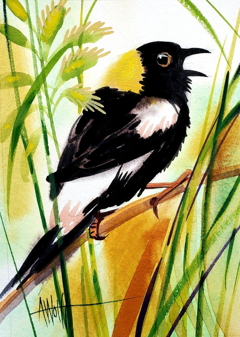 Bobolink: part of my 2022 A Year of Birds Challenge. One-of-a-kind. I will donate 20% of the price to wildlife conservation image 1