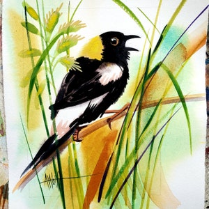 Bobolink: part of my 2022 A Year of Birds Challenge. One-of-a-kind. I will donate 20% of the price to wildlife conservation image 2