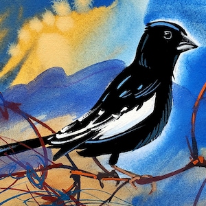Lark Bunting: part of my 2022 A Year of Birds Challenge.  One-of-a-kind. I will donate 20% of the price to wildlife conservation
