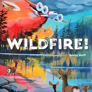 WILDFIRE! a picture book for young and old about a wildfire in a forest and how it affects the animals and firefighters