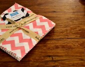 Small Chevron - Charm Pack - from Riley Blake
