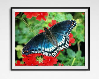 Woodland nursery wall art, butterfly photo print