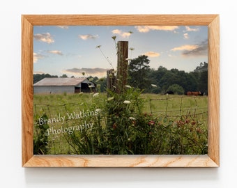 Farmhouse photography printable, barn and cows, cow print, barn print, barn art, farmhouse art, country photography, cow photography print