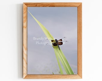 Dragonfly resting on green plant printable wall art