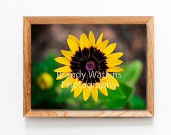 Yellow sunflower printable art, sunflower print, sunflower gift, nature wall art, nature fine art photography, floral decor, bathroom art