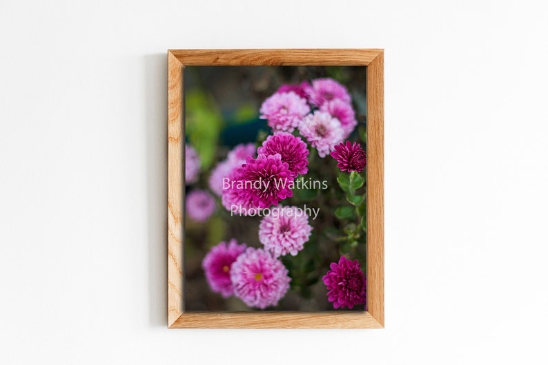 Purple Mums Floral Download Printable Wall Art, Purple Wall Art, Nature ...