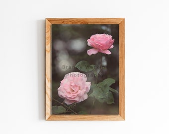 Rose Photograph, Pink Shabby Chic Wall Art, English Roses Print, Rustic decor, Pink Rose Wall Art, Floral Home Decor, Botanical Art Print