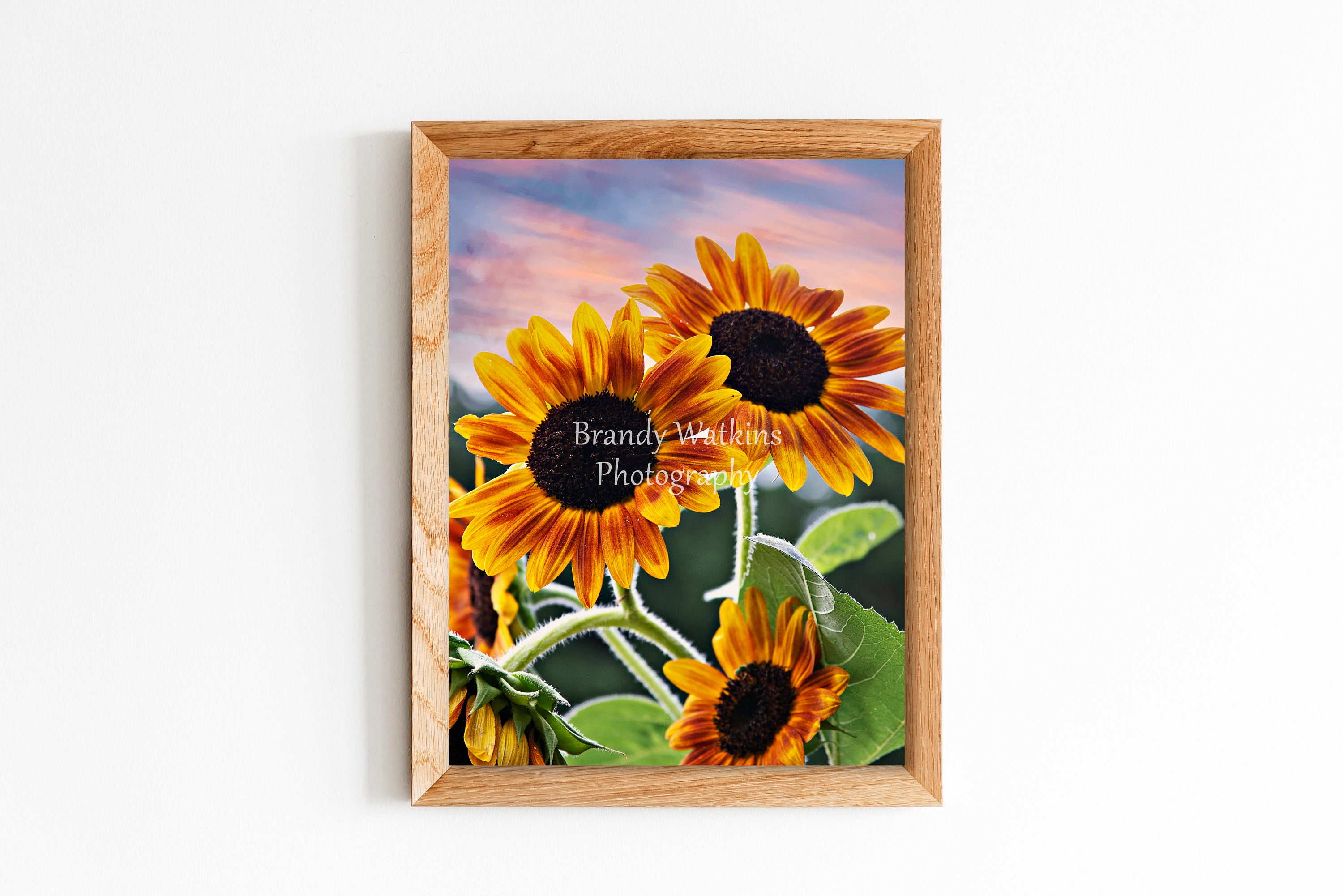 Printable Wall Art Sunflower Field at Sunset Decor Sunflower - Etsy