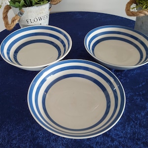 Set of 3 Swinnerton's breakfast bowls Blue & Whiter Cornish wear Somerset Blue Ironstone England 17 x 17 x6cm