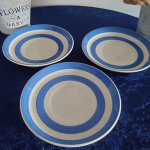 Può includere: Tre piatti in ceramica bianca con strisce blu concentriche. I piatti sono disposti su una superficie blu scuro. Due piccoli secchi di metallo con le parole "FLOWERS & GARDEN" sono sullo sfondo.