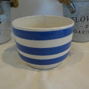 May include: A white ceramic planter with blue stripes. The planter is empty and ready for a plant.