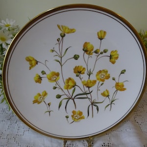 Platos de porcelana Spode de la colección Wild Flowers diseñados por D. Emery Número 1 / 2 / 3 / 6 de una serie de seis platos