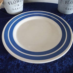May include: White ceramic plate with two blue stripes around the rim. The plate is centered on a dark blue surface. Two small, galvanized metal buckets with the words "FLOWER & GARDEN" are in the background.