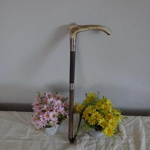 Vintage riding crop with horn handle with Hall marked silver collar on a solid column & leather binding Circa 1910