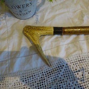 Vintage Hazelwood walking stick with polished antler handle & tip Hiking pole / rambling stick 115 cm