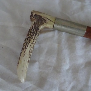Vintage riding crop with horn handle with Hall marked silver collar on a solid column & leather binding Circa 1910