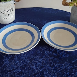 May include: Two white ceramic plates with a blue stripe design. The plates have a circular shape and are set on a dark blue surface. Decorative flower pots are in the background.
