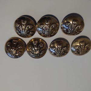 Puede incluir: Siete botones antiguos de latón con un diseño detallado que presenta una corona y un emblema floral estilizado. Los botones están dispuestos sobre una superficie blanca, mostrando su intrincada artesanía y atractivo vintage.