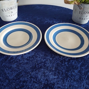 May include: Two oval-shaped ceramic plates with a white center and blue concentric rings. The plates are set on a dark blue surface, with small metal buckets of flowers in the background.