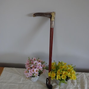 Vintage riding crop with horn handle with Hall marked silver collar on a solid column & leather binding Circa 1900