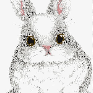 Bunny Graph Chart and Written Row Counts