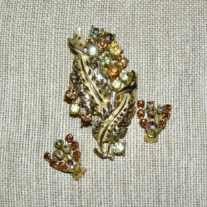 May include: A gold tone brooch with a leaf design and a cluster of multi-colored rhinestones. The brooch is accompanied by a pair of matching earrings.