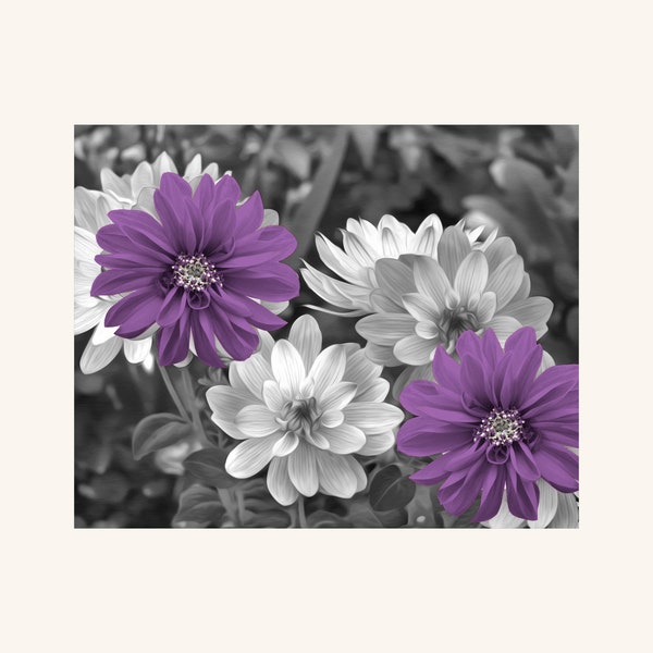 Black White Dahlia Photography Wall Decor, Purple Prints, Purple Home Decor Matted Wall Art Pictures (Options)