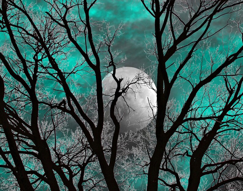 Teal Gray Wall Art Photography Tree Moon Decor Teal Home Etsy