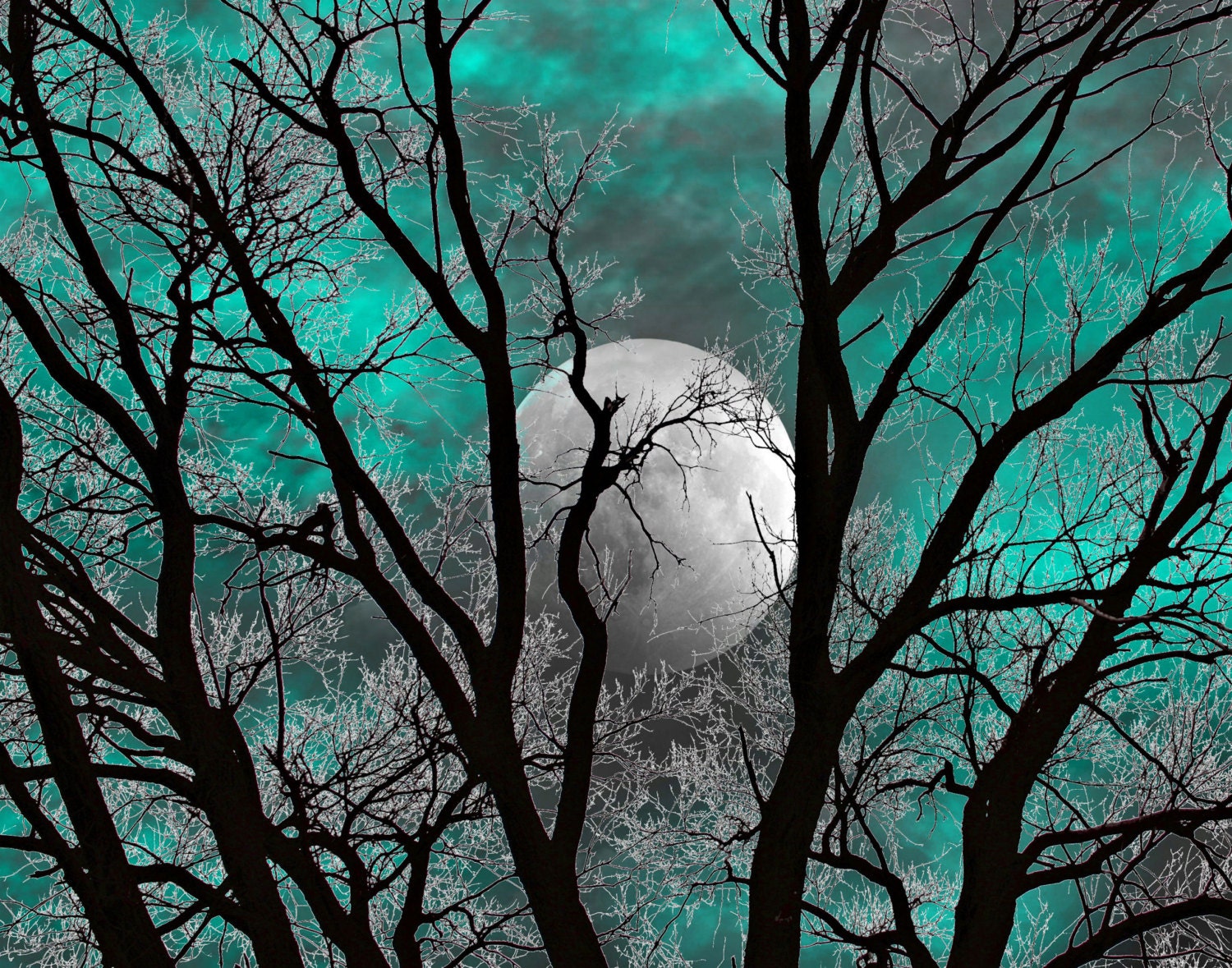 Teal Gray Wall Art Photography Tree Moon Decor Teal Home Etsy