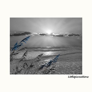 Black White Blue Coastal Ocean Sunset Bedroom Bathroom Photography Matted Wall Art