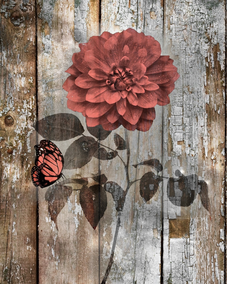 Coral Brown Rustic Decor Coral Flower Butterfly Wall Art