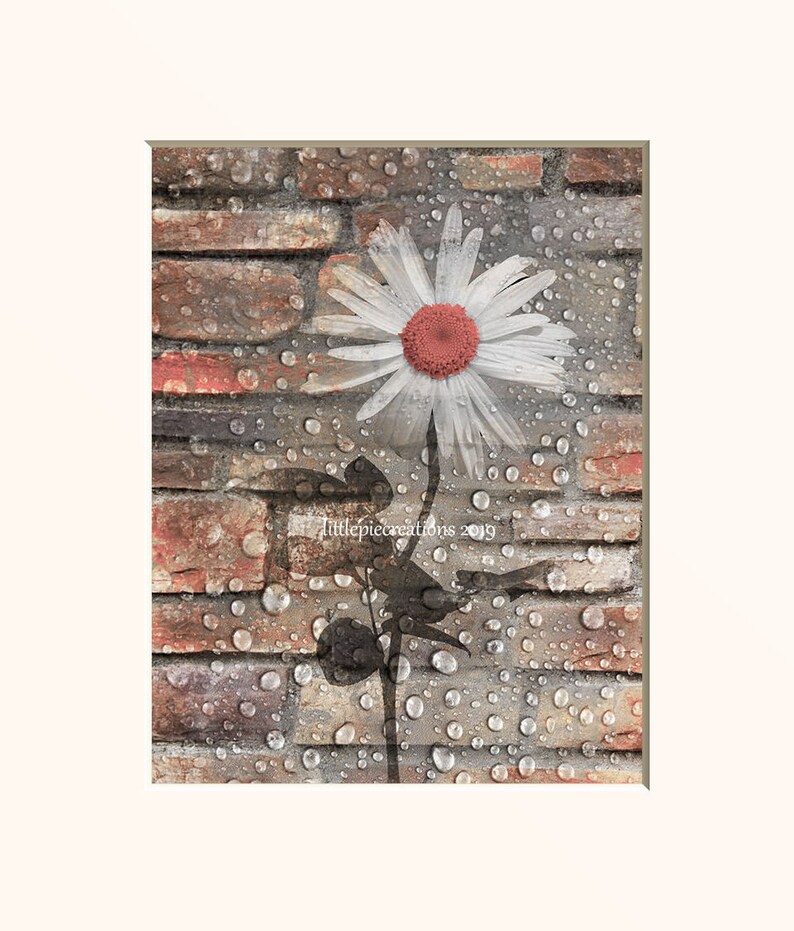 Posters Prints Home Garden Daisy Flowers Home Decor Picture Home Garden Blue Gray Modern Rustic Bathroom Wall Decor Home Decor Zsco Iq