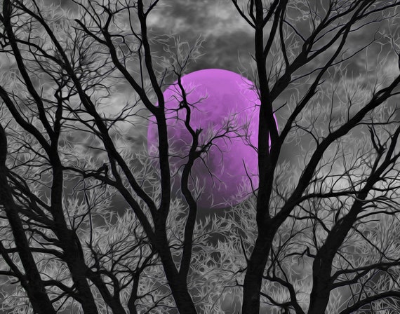 Black White Purple Wall Pictures Tree Moon Decor Moon Wall Art Purple Bedroom Home Decor Matted Picture