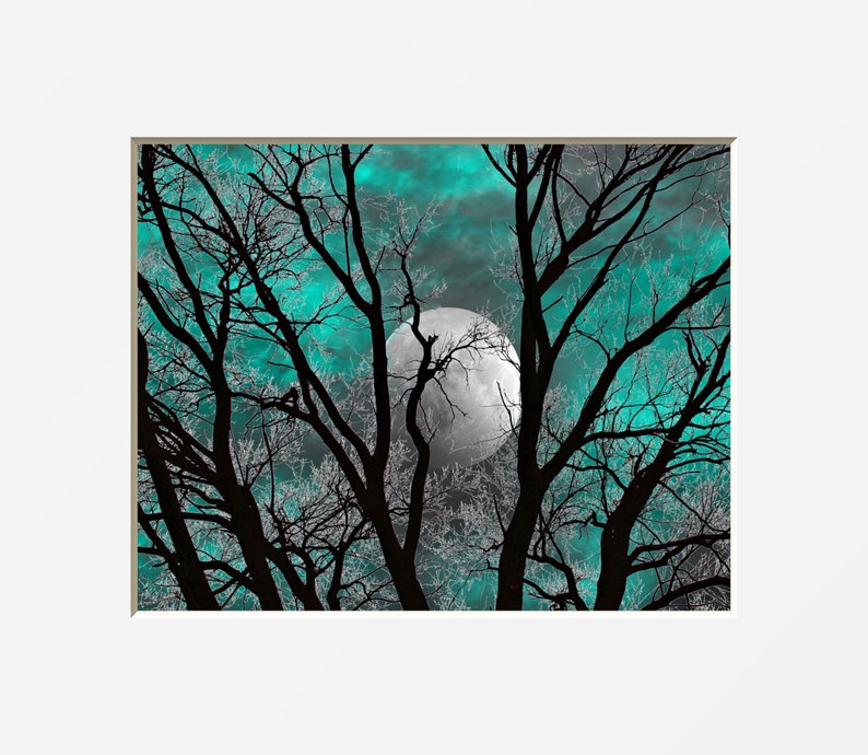 Teal Gray Wall Art Photography Tree Moon Decor Teal Home Etsy