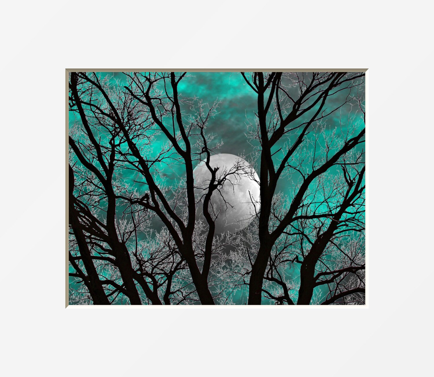 Teal Gray Wall Art Photography Tree Moon Decor Teal Home Etsy