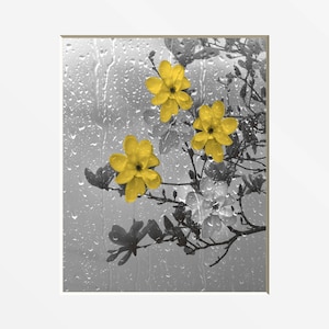 Yellow Bathroom Wall Art