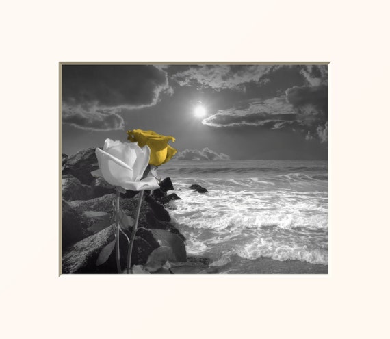 Yellow Gray Rose Flower Wall Art Home Decor Picture Matted 8x10 in with 11x14 in White Mat Goes Inside a 11x14 In Frame 