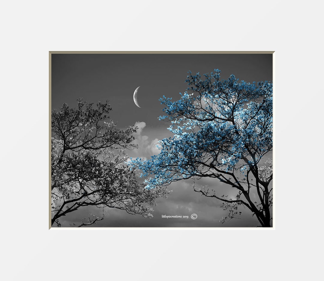 Black White Blue Wall Decor, Tree Moon, Photography Photo Art, Blue