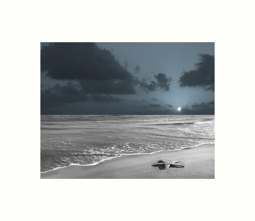 Black White Blue Modern Wall Art, Beach, Starfish Wall Art, Bathroom