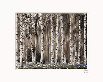 Birch Trees Wildflowers Home Decor Brown Blue Matted Wall Art Picture